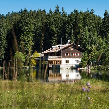 Апартаменти Haus Schreieck Klaudia Hofen Екстер'єр фото